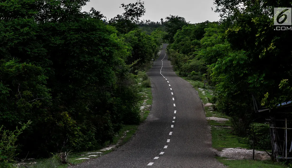 Akses darat di Desa Melolo. Jalan aspal ini adalah salah satu akses darat yang kini dirasakan manfaatnya telah memudahkan masyarakat maupun wisatawan menuju Desa Melolo. (Liputan6.com/Johan Tallo)