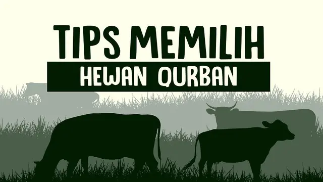 Hari Raya Idul Adha 1441 H sebentar lagi akan tiba tepatnya tanggal 31 Juli 2020. Hari Raya Idul Adha juga identik dengan qurban. Ini dia tips memilih hewan qurban.