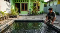6 Cara Mengatasi Lele Sering Lompat Keluar, Efektif dan Mudah