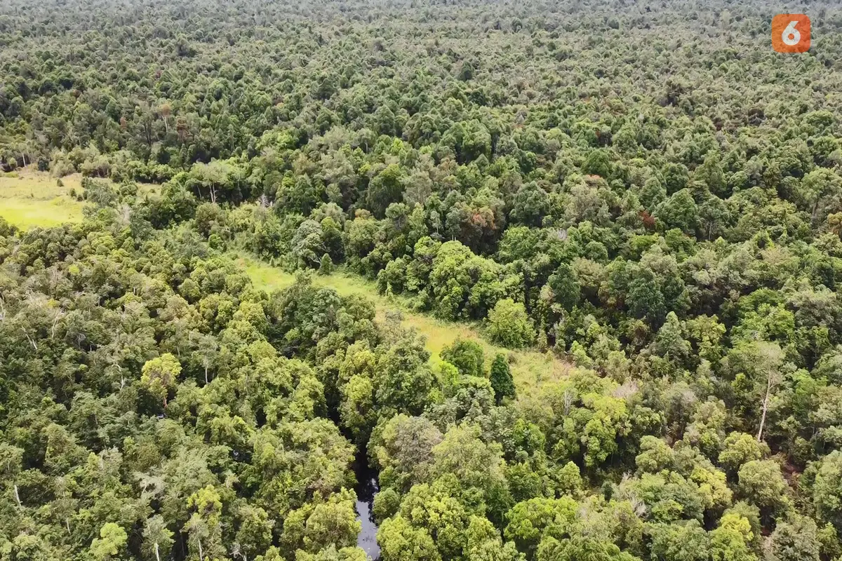 Hutan Desa Genting Tanah