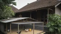 7 Desain Umbaran Ayam di Samping Rumah Tanpa Mengganggu Tetangga, Solusi Beternak Harmonis