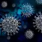 Ilustrasi virus Covid-19 yang merajalela di Indonesia. /pixabay.com Geralt