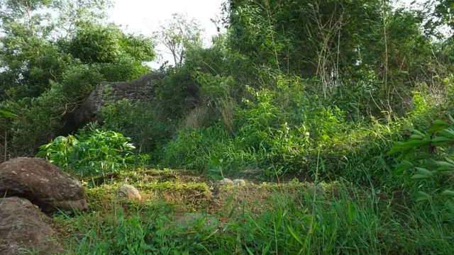Medan di Gunung Kakapa https://www.instagram.com/p/B7cOiaFAEBw/?igsh=Zm45enMwMmpsN2Rz