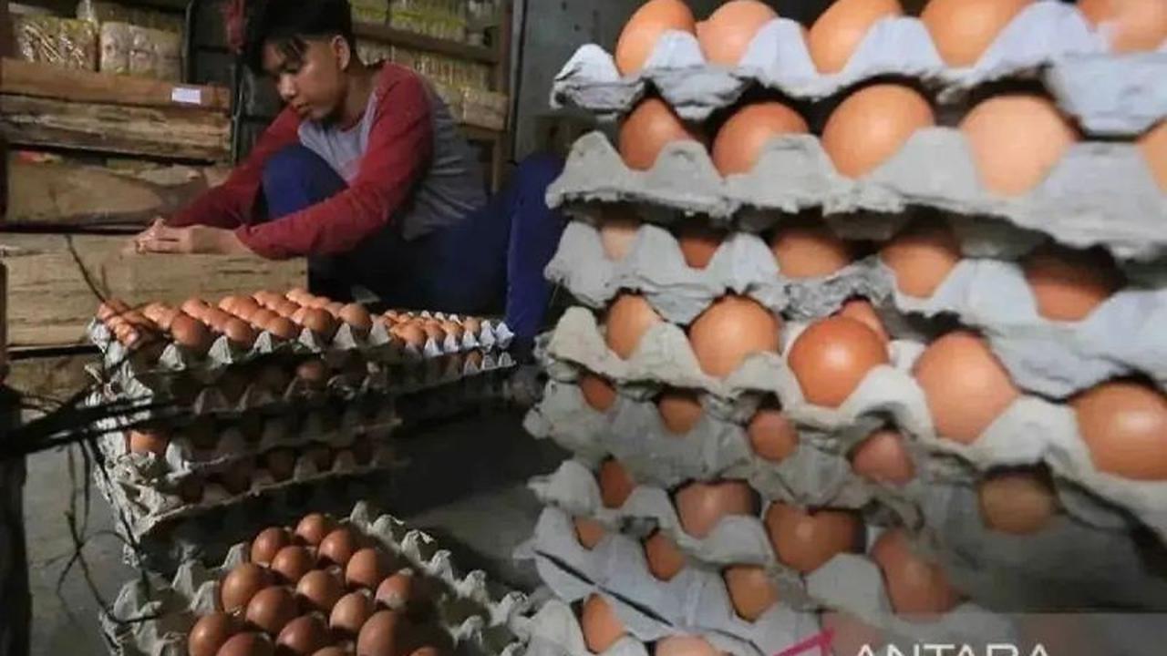 Tahukah Anda? Telur Sehat Bisa Jadi Berbahaya! Pemprov Sumsel Perketat Pengawasan Distribusi Telur untuk Jaminan ASUH
