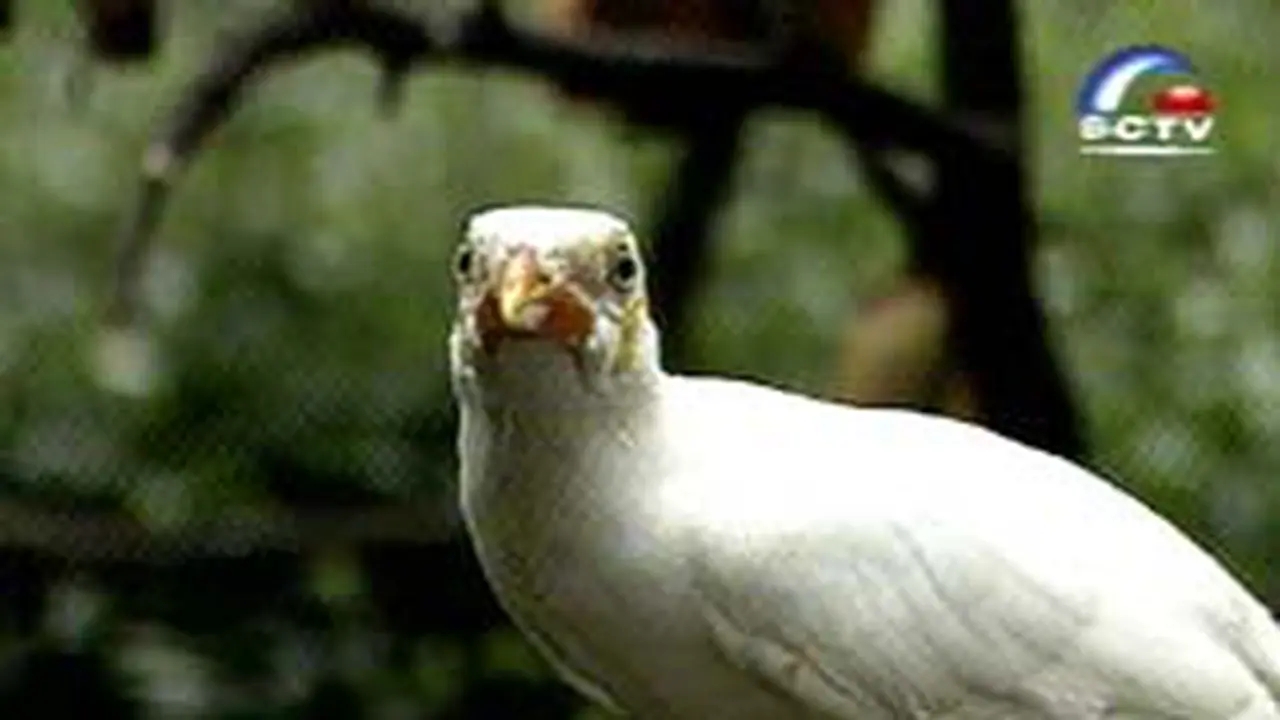 151001bBeo.jpg
