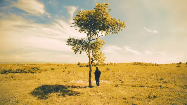 Bukit Pilar Angin