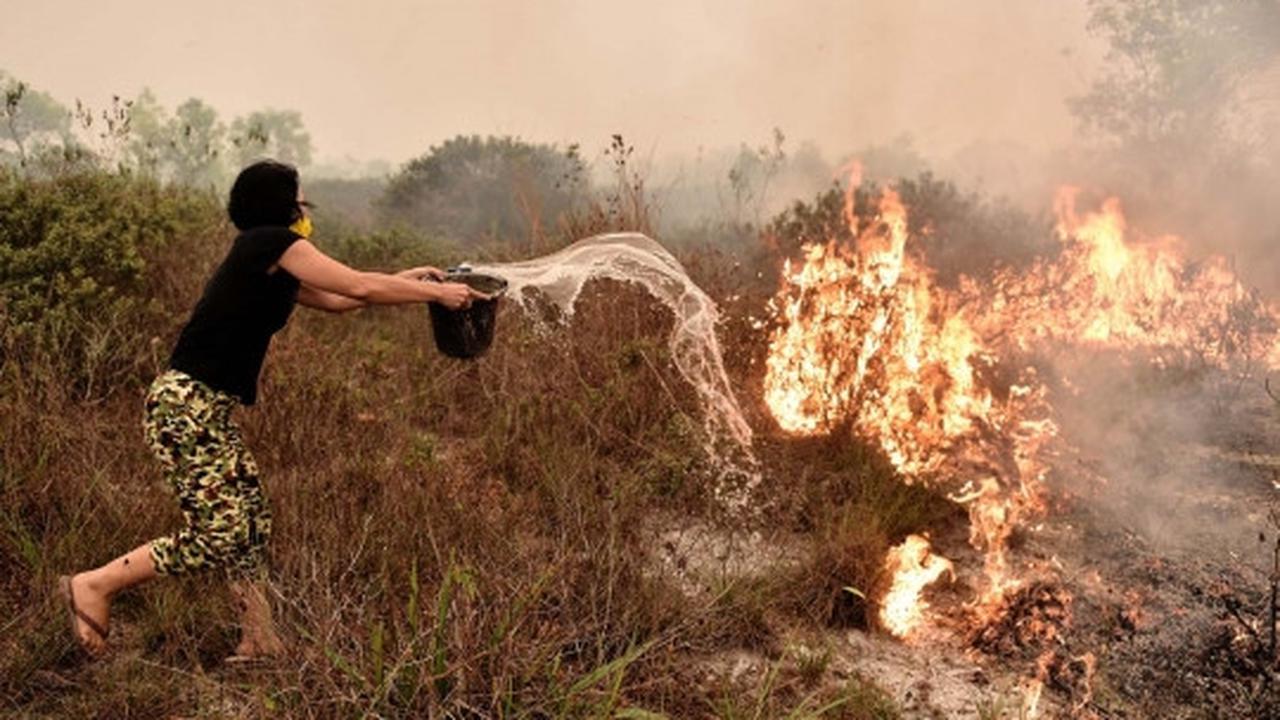 Perjuangan warga padamkan kebakaran hutan dengan alat seadanya