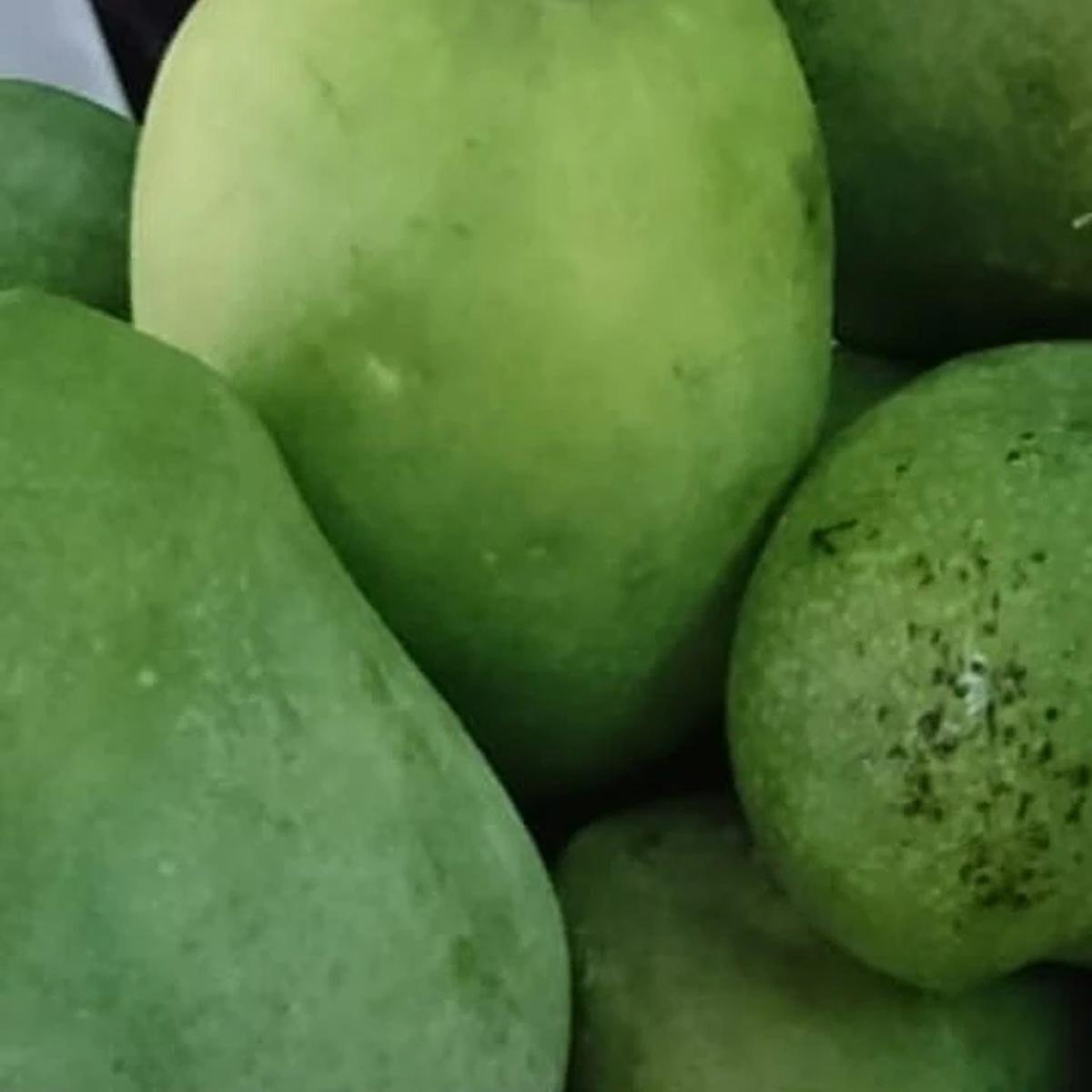 Mangga