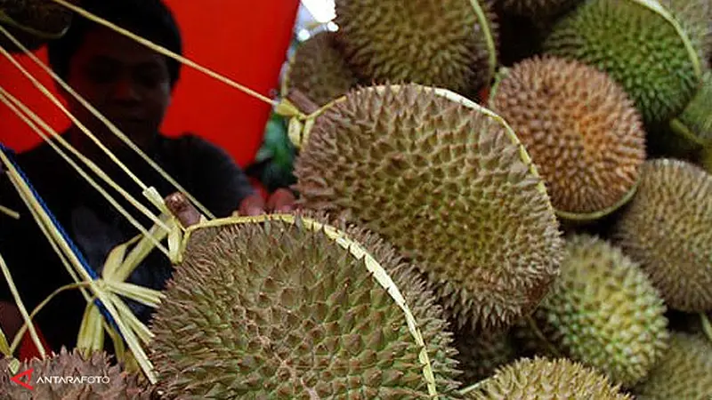 durian130206c.jpg