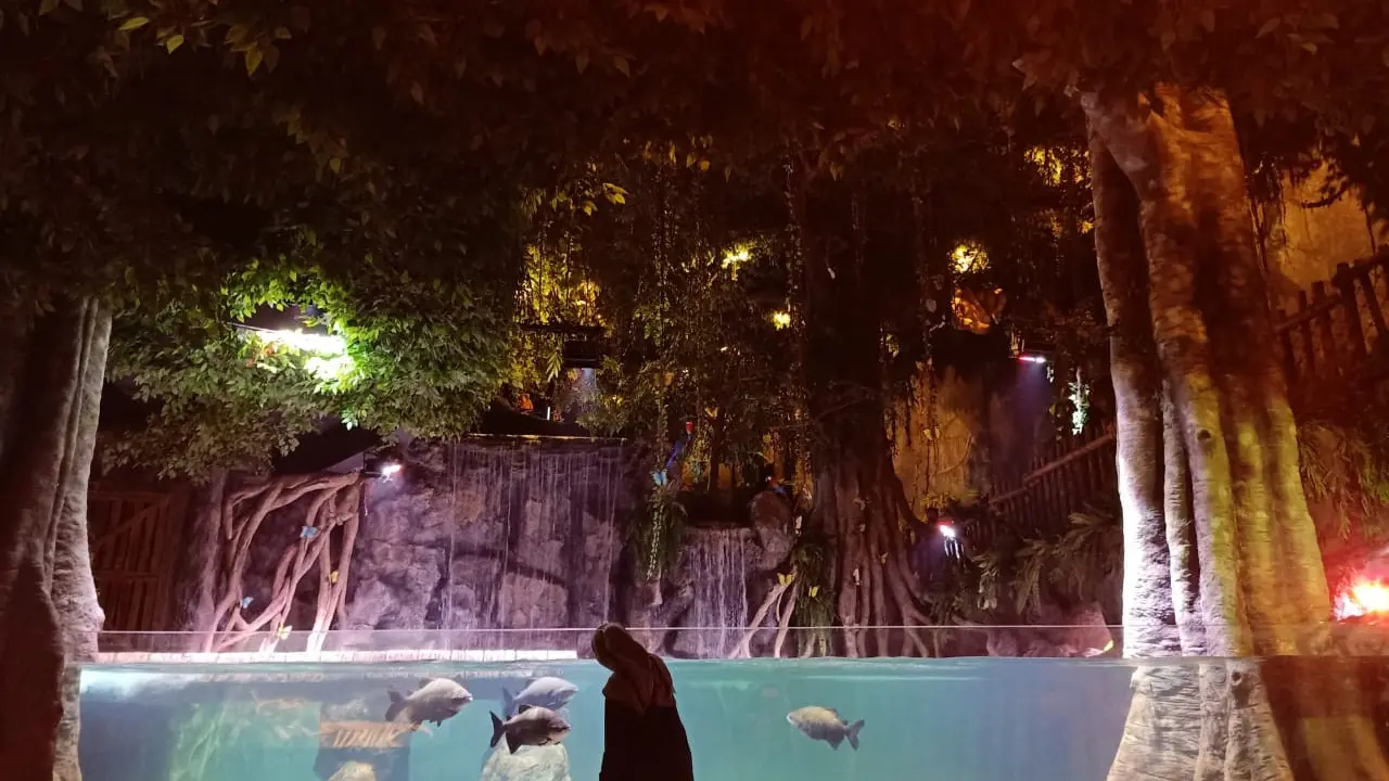 Belajar Satwa di BXSea Oceanarium dalam Mal Bintaro, Bisa Diakses Langsung dari Stasiun Jurangmangu