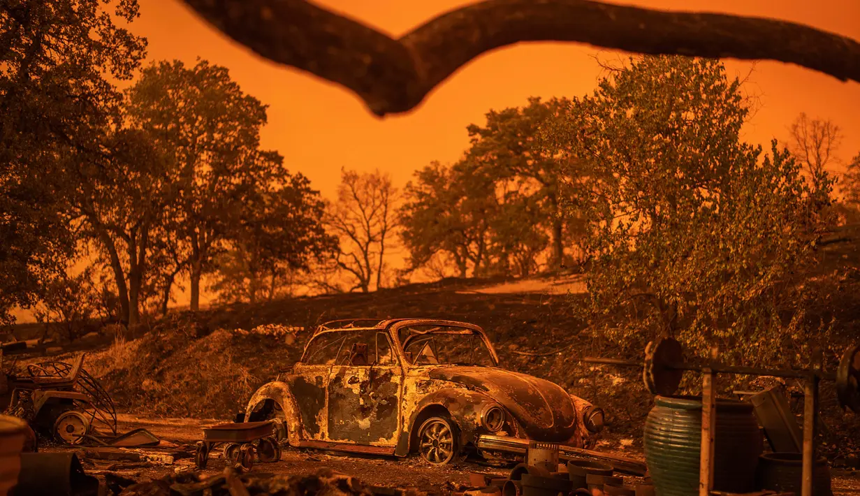 Mobil Volkswagen Beetle hangus oleh api yang melahap sebuah tempat tinggal pada kebakaran hutan yang dijuluki Carr Fire di Redding, California, Jumat (28/7). Kebakaran yang melanda selama musim panas ini sudah melahap 1.900 hektar lahan. (AP/Noah Berger)