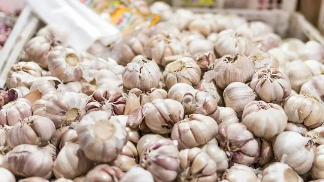 Ilustrasi bawang putih