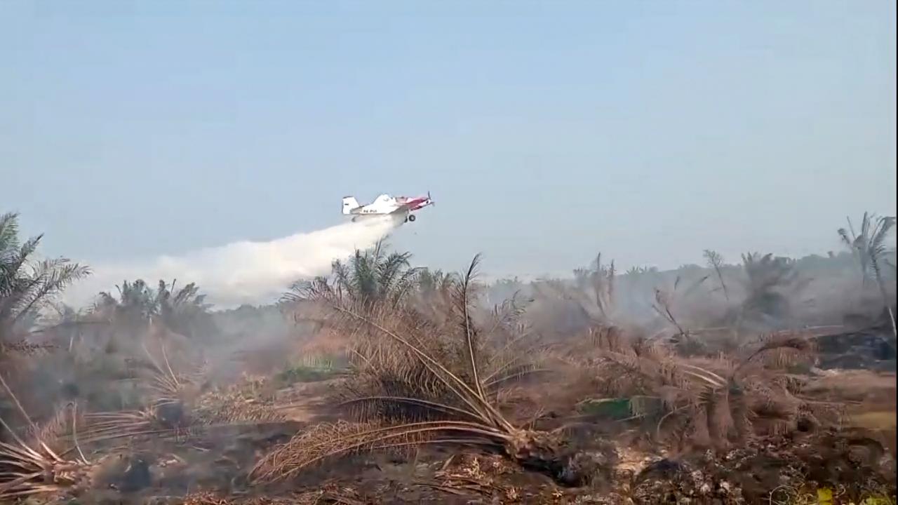Pesawat Water Bombing Dikerahkan Atasi Kebakaran Gambut di Mesuji