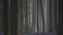 Kabut pagi mulai terangkat saat bluebell, juga dikenal sebagai Eceng Gondok liar, mekar di lantai hutan Hallerbos di Halle, Belgia (20/4/2021). Pada musim semi, pemandangan biru hamparan bunga Bluebell atau eceng gondok liar tengah bermekaran dapat dinikmati di hutan ini. (AP Photo/Virginia Mayo)