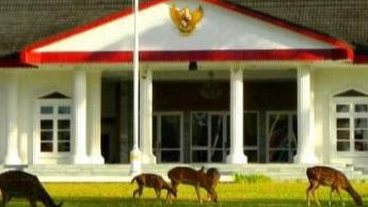Menyusuri Rumah Kediaman Raffles, Peninggalan Gubernur Terakhir Inggris di Bengkulu