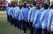 Pegawai Honorer akan Dihapus, Menpan RB Siapkan Pengganti dengan Dua Status PPPK