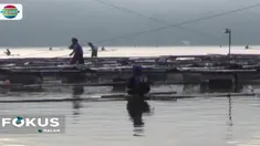 Fenomena ikan mabuk ini terjadi sejak Rabu malam yang ditandai dengan ratusan bahkan ribuan ekor ikan tampak mengambang di permukaan danau.