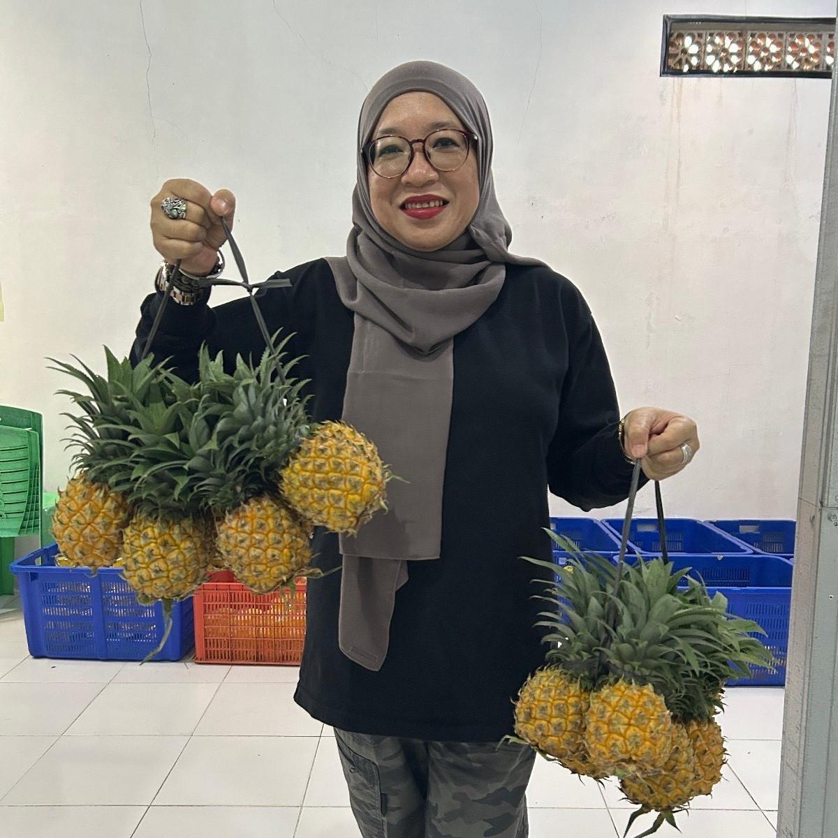 NanasQu Binaan Pertamina Gandeng 900 Petani Lokal Tembus Pasar Ekspor