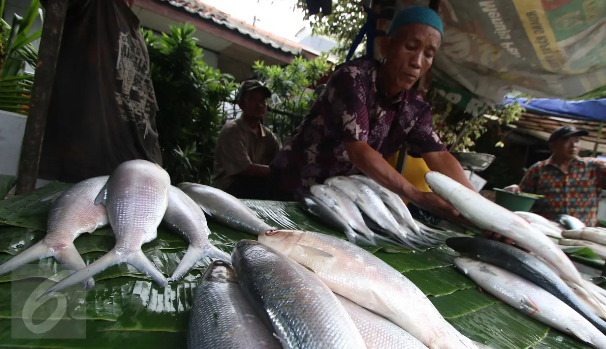 Penjual ikan bandeng mulai marak di Rawabelong, , Jakarta, Jumat (5/2/2016). Banyaknya penjual ikan bandeng dipicu perayaan Imlek yang mempunyai tradisi menyediakan Pindang Bandeng. (Liputan6.com/Angga Yuniar)