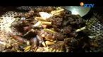 Gulai kering ini terbuat dari kaki kambing yang dikenal dengan sebutan gule dengkil kambing melung.