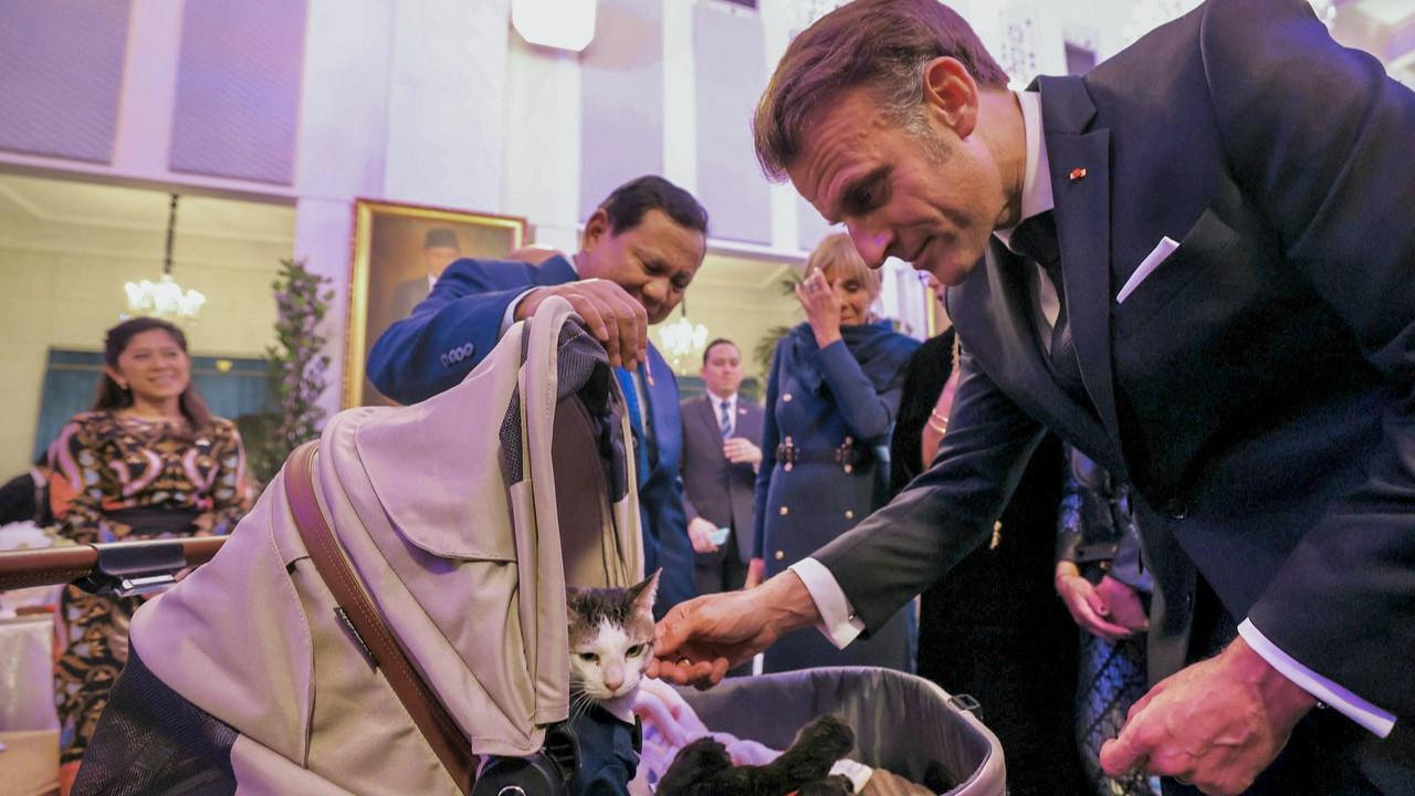 VIDEO: Macron Gemas Lihat Bobby Kucing Prabowo, Nyanyi di Acara Makan Malam