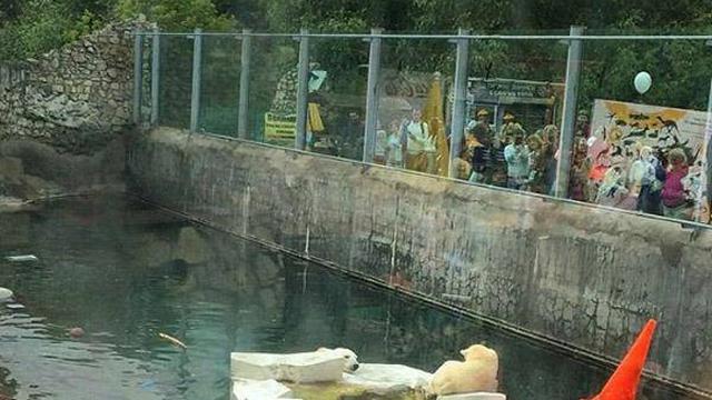 7 Potret Kocak Pemandangan Nyeleneh di Kebun Binatang Ini Bikin Tepuk Jidat