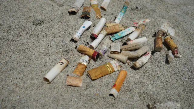 Bisa Sebabkan Kematian dan Rusak Ekosistem Laut, Sampah Puntung Rokok Masih Dianggap Remeh Banyak Orang