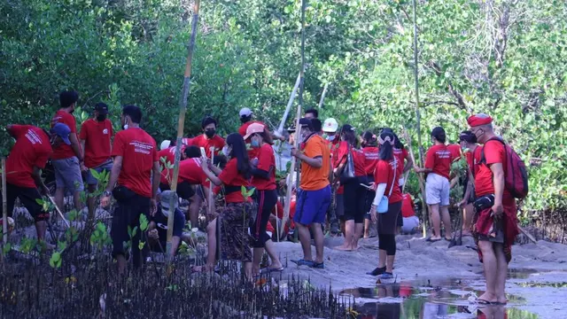 pdip