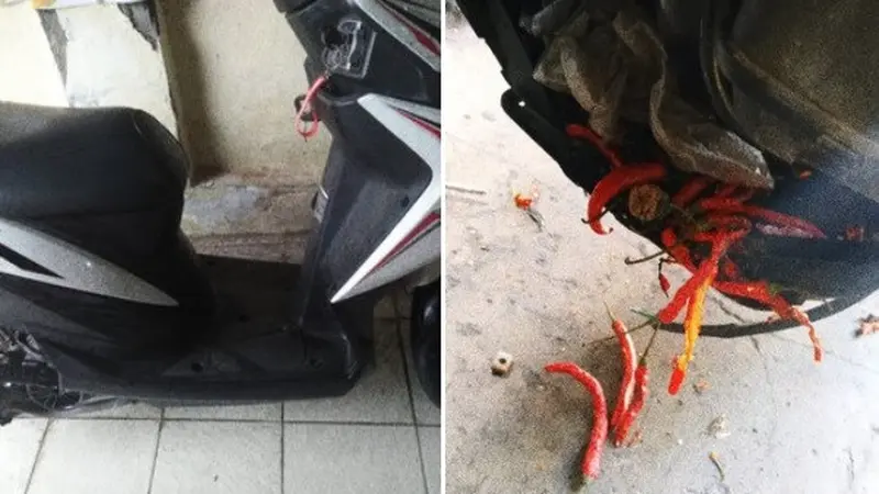 motor mogok karena ulah tikus