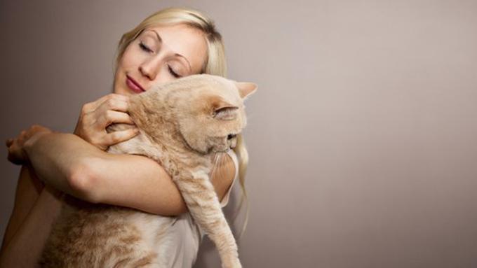 Wanita Ini Menikah Dengan Kucing dan Hidup Bahagia - Lifestyle Fimela.com