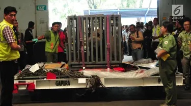 Petugas menjaga kedatangan dua ekor panda dari China di Terminal Kargo, Bandara Soekarno-Hatta, Tangerang, Kamis (28/9). Kedua panda yang dipinjamkan untuk pengembangbiakan di Indonesia akan menempati Taman Safari Indonesia. (Liputan6.com/Helmi Afandi)