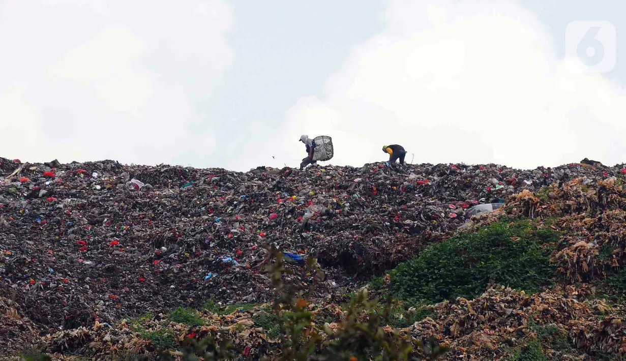 Sejumlah pemulung berjalan di atas tumpukan sampah di kawasan Tempat Pengolahan Sampah Terpadu (TPST) Bantar Gebang, Bekasi, Jawa Barat, Selasa (17/1/2023). Dari hilir, TPST Bantar Gebang rata-rata menerima lebih dari 7.500 ton sampah per hari yang diangkut menggunakan lebih dari 1.200 truk pengangkut dari Kota Jakarta. (merdeka.com/Imam Buhori)