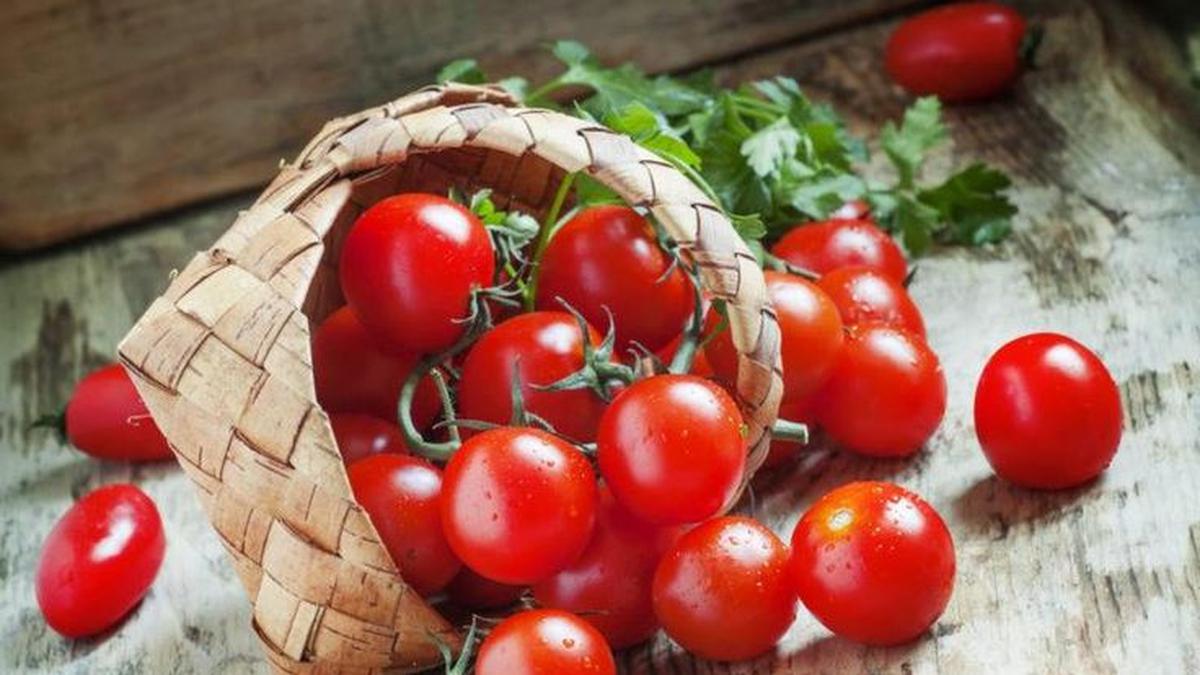 Cara Mengatasi Kolesterol Tinggi dengan Tomat, Bahan Alami yang Kaya Manfaat