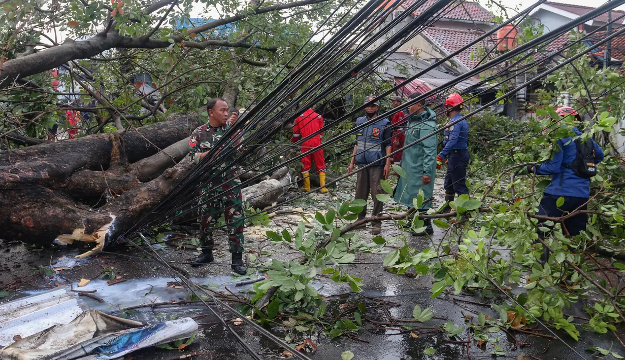 Petugas mengevakuasi pohon tumbang yang menghalangi jalan raya di pertigaan Jalan Curug Agung, Kecamatan Beji, Kota Depok, Jawa Barat pada Rabu (25/6/2025). (merdeka.com/Arie Basuki)
