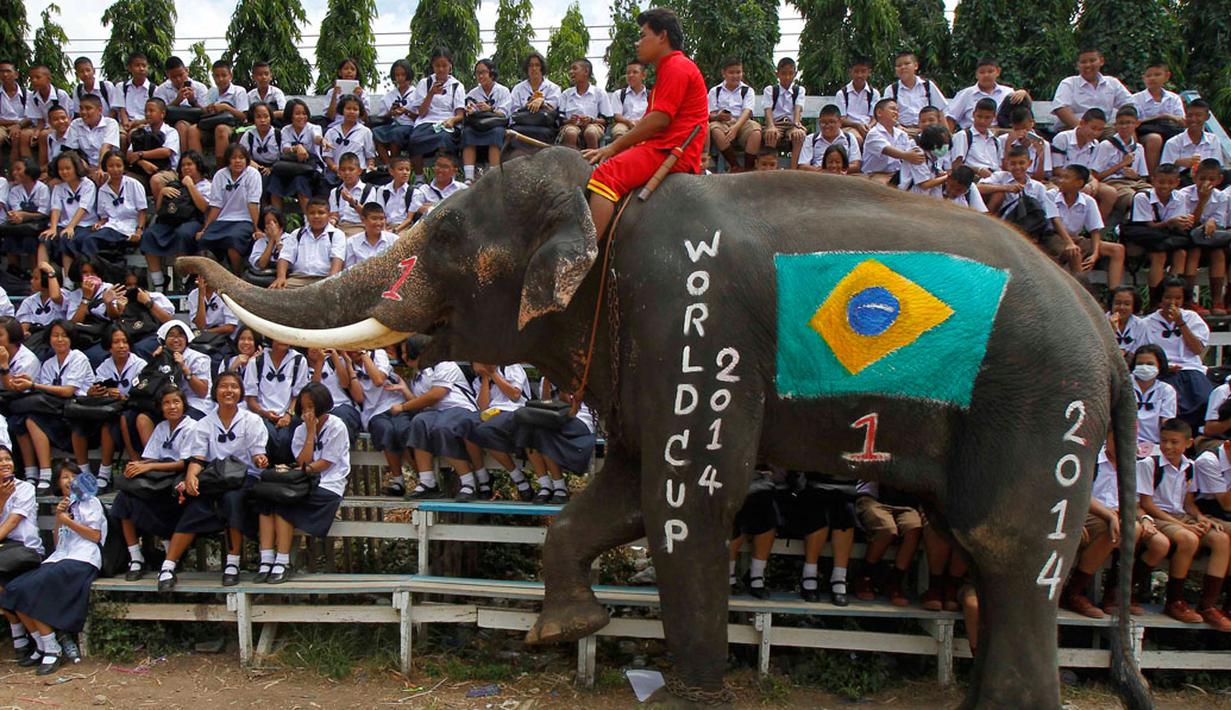 Usai berlaga di sebuah pertandingan di provinsi Ayutthaya, Thailand, (9/6/2014), salah satu gajah memberkan penghormatan dan menghampiri beberapa siswa yang duduk di bangku penonton. (REUTERS/Chaiwat Subprasom)