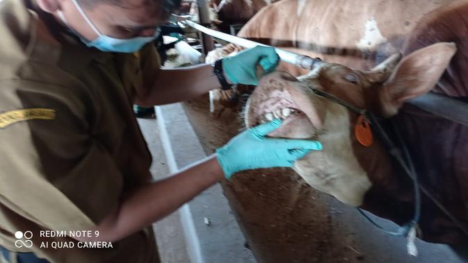 Zona Merah Covid-19 di Garut Tak Boleh Potong Hewan Kurban Sembarangan - Vimarsana News