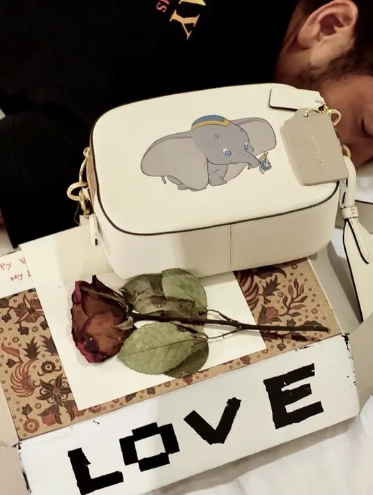 Nadine Chandrawinata dan Dimas Anggara