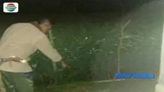 Seorang pelajar SMA di Tasikmalaya, Jawa Barat, tega membuang bayi hasil hubungan gelapnya ke pematang sawah. Beruntung bayi tersebut selamat saat ditemukan, meski di tubuhnya ada bercak bekas gigitan serangga.