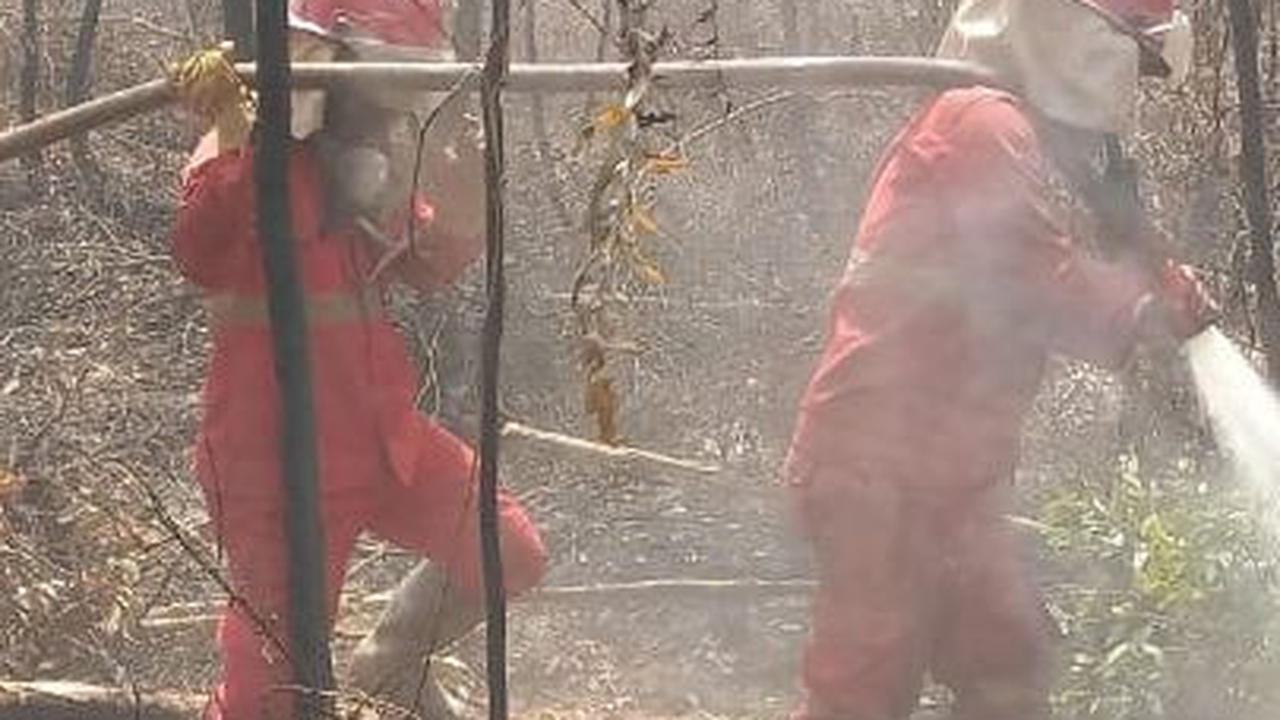Ratusan Ha Lahan di Sumsel Terbakar, Diduga Ada yang Dipicu Puntung Rokok Dibuang Sembarangan