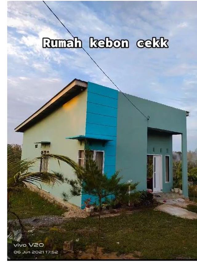 Berkonsep Minimalis, 7 Potret Penampakan Rumah di Tengah Kebun Ini
