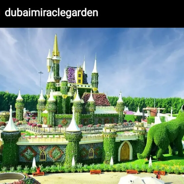Dubai Miracle Garden