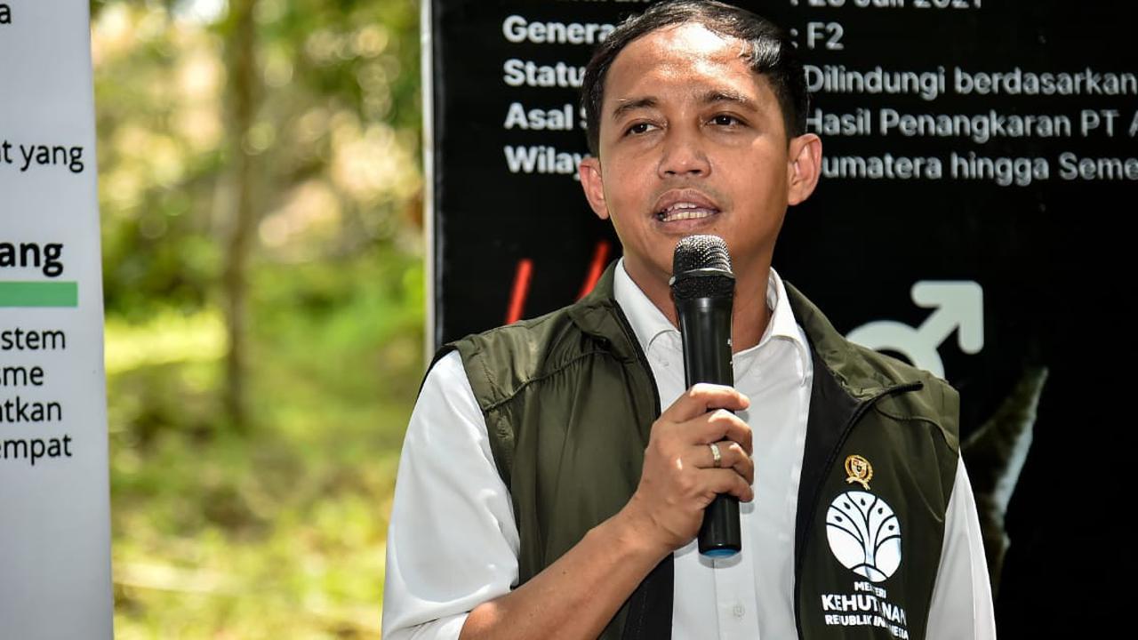 Menhut Pastikan Keselamatan Warga Saat Libur Lebaran di Gunung: Kuota Batasan Pengunjung Mesti Ditaati