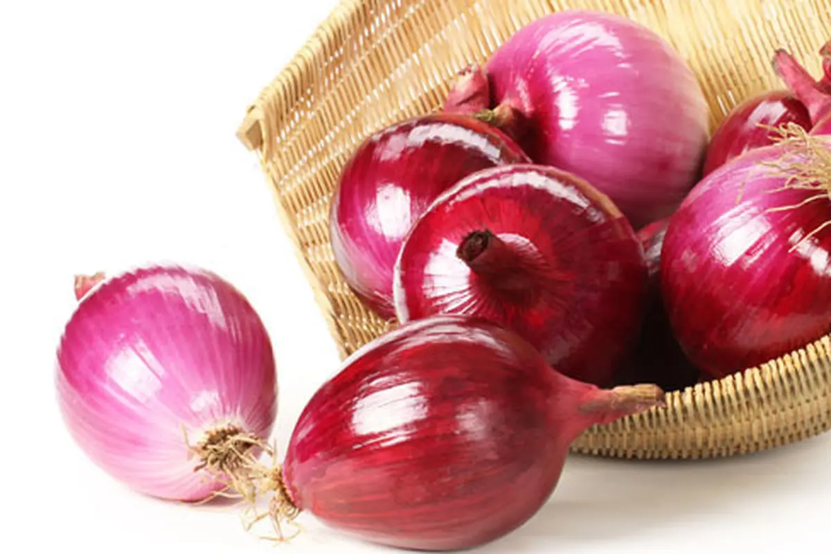 (c) shutterstock