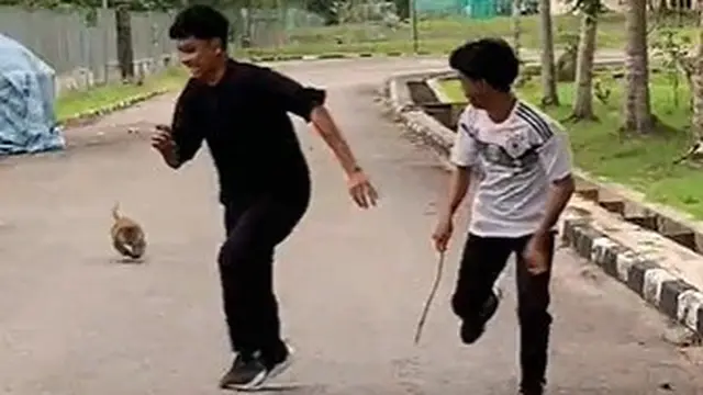 Takut Dikejar Monyet, Dua Orang Ini Malah Mematung Seperti Permainan Squid Game