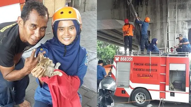 Damkar Selamatkan Kucing