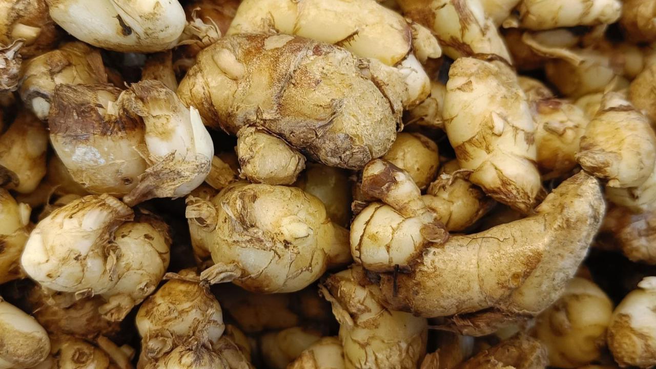 Selain itu, kencur juga dapat meningkatkan nafsu makan dan memiliki potensi sebagai antidepresan alami.