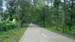 liputan6