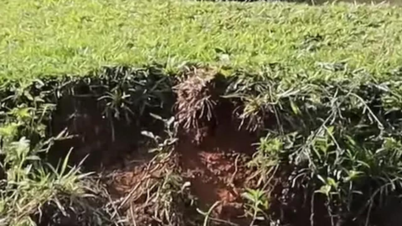 Kampung Naringgul di Cianjur Disebut Mirip Pegunungan Alpen Swiss, Yuk Intip Potret Indahnya