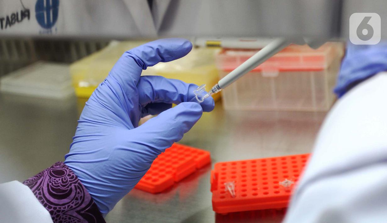 Doktor Tjandrawati Mozef menguji alat deteksi alternatif virus corona di Laboratorium Kimia LIPI Puspiptek Serpong, Tangerang Selatan, Rabu (26/8/2020).  Formula deteksi virus corona dengan metode RT LAMP tersbut dapat dideteksi dengan waktu kurang dari satu jam yang dinamai QIRANI 19 KIT. (merdeka.