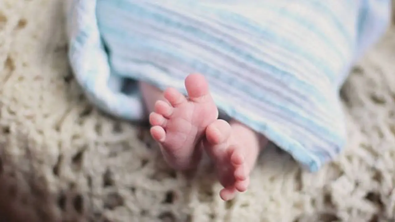 Kaki bayi/copyright Pexels.com/Leah Kelley